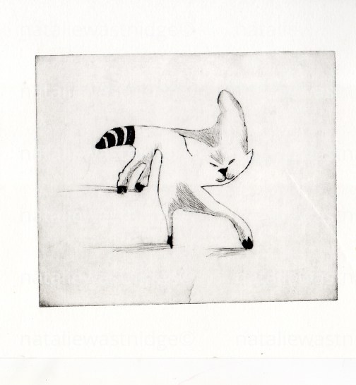 © 2015 'Awkward Cat' Natalie Wastnidge